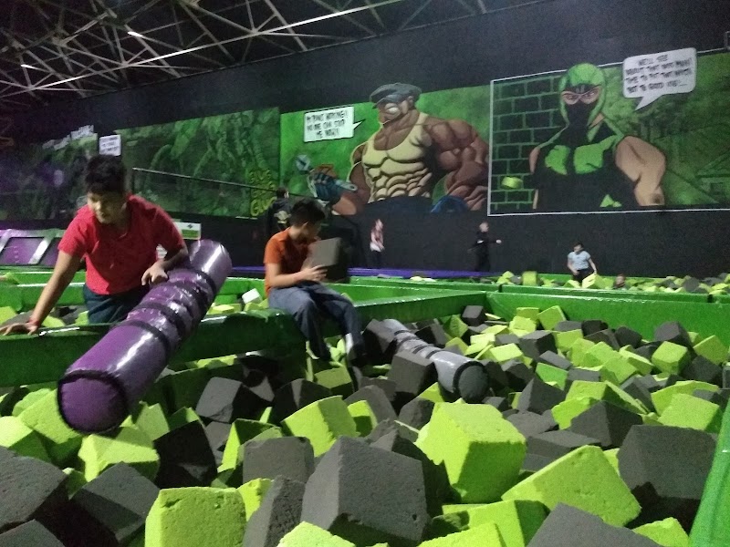 Flip Out Trampoline Arena photo 3