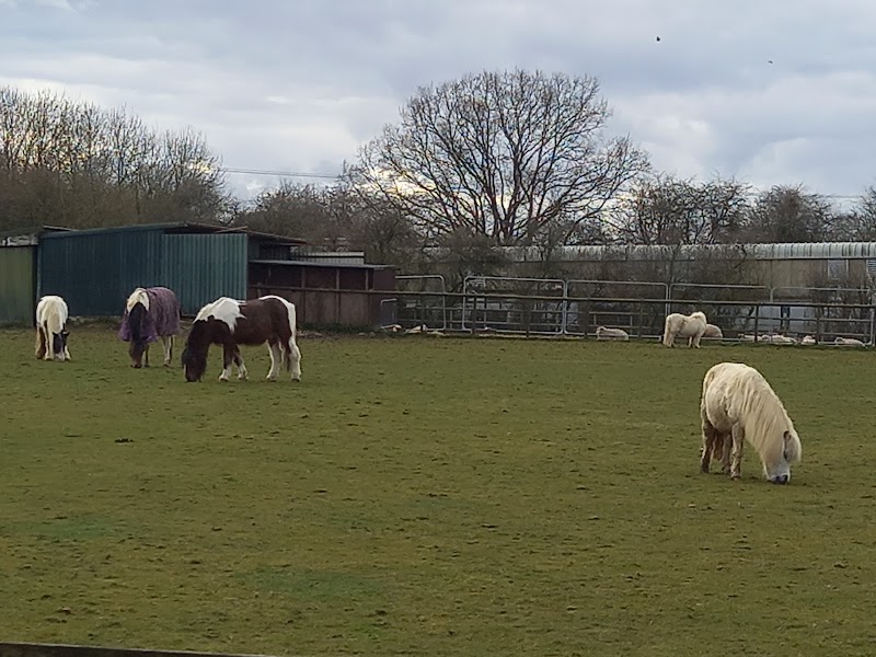 Foal Farm Animal Rescue Centre photo 2