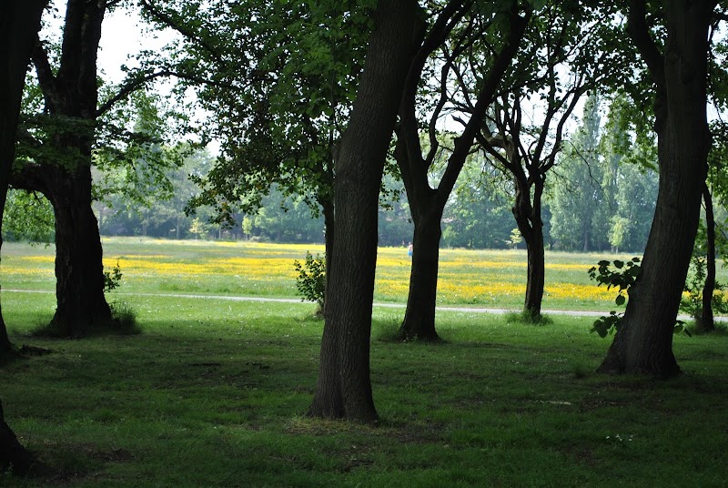 Fog Lane Park photo 2