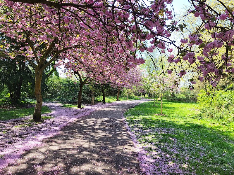 Fog Lane Park photo 3