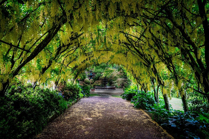 Forest Glade Gardens