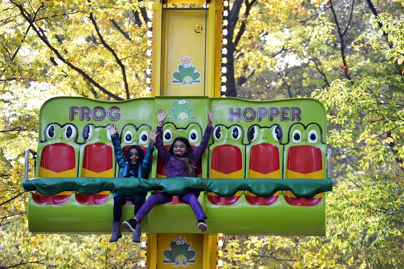 Forest Park Carousel Amusement Village photo 2