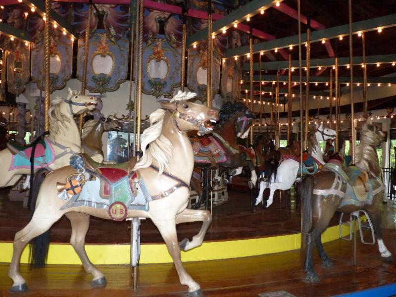 Forest Park Carousel Amusement Village photo 3
