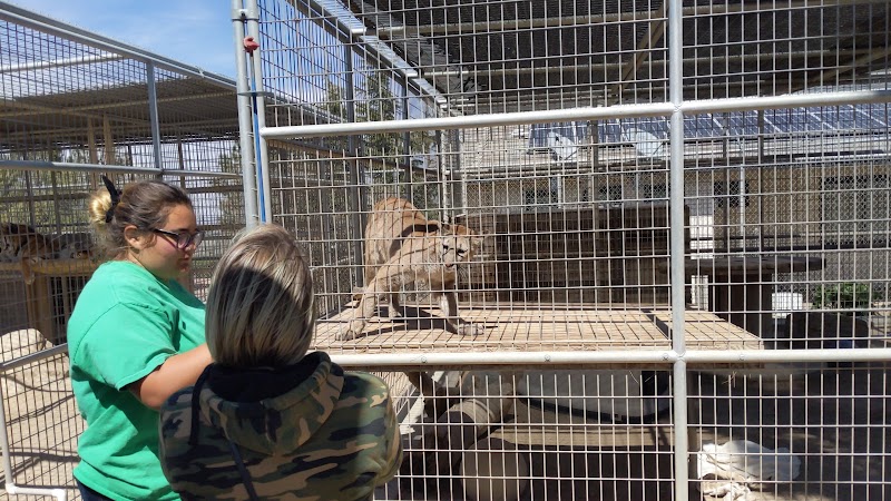 Forever Wild Exotic Animal Sanctuary photo 2