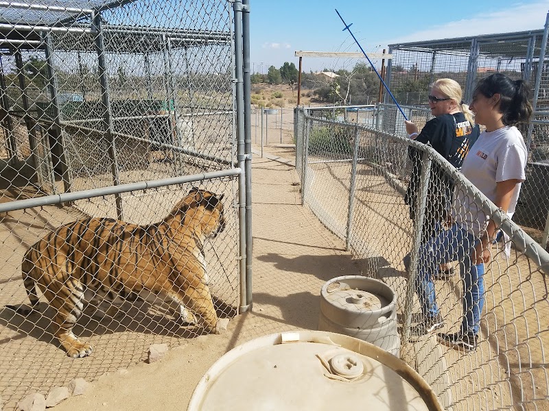 Forever Wild Exotic Animal Sanctuary photo 3
