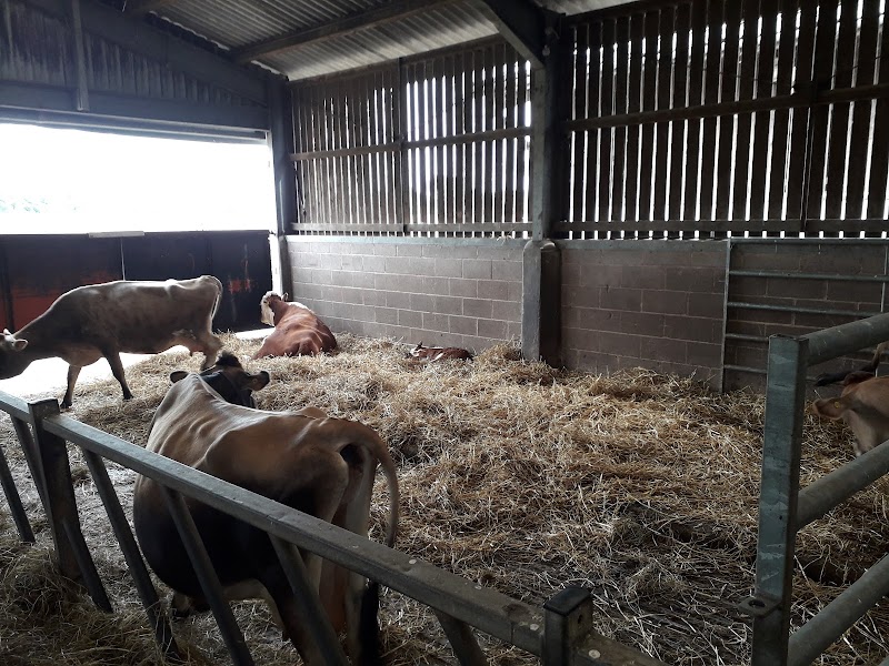 Photo of Forge Mill Farm in West Midlands