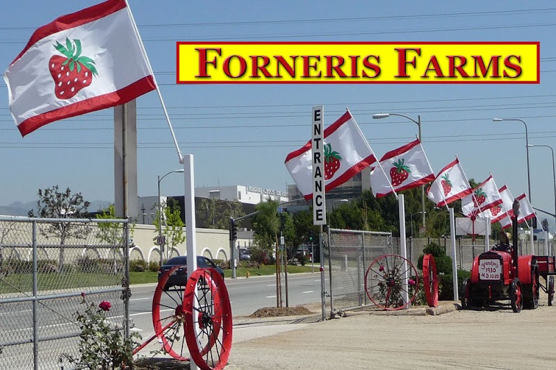 Forneris Farms photo 2