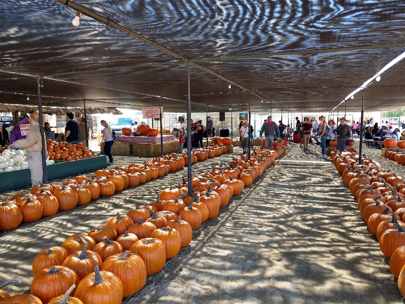 Forneris Farms photo 3