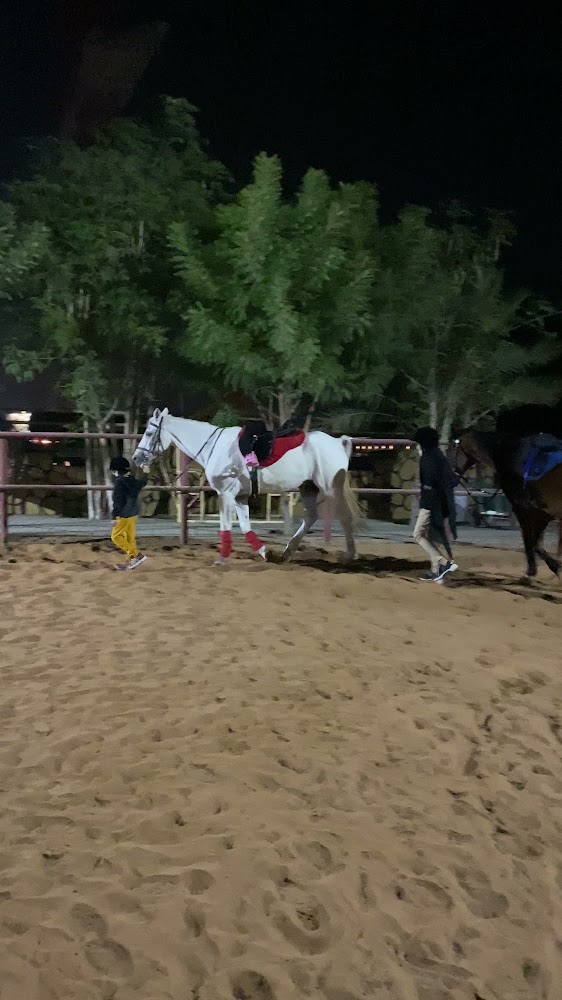 Forsan Al Emarat Stable photo 3