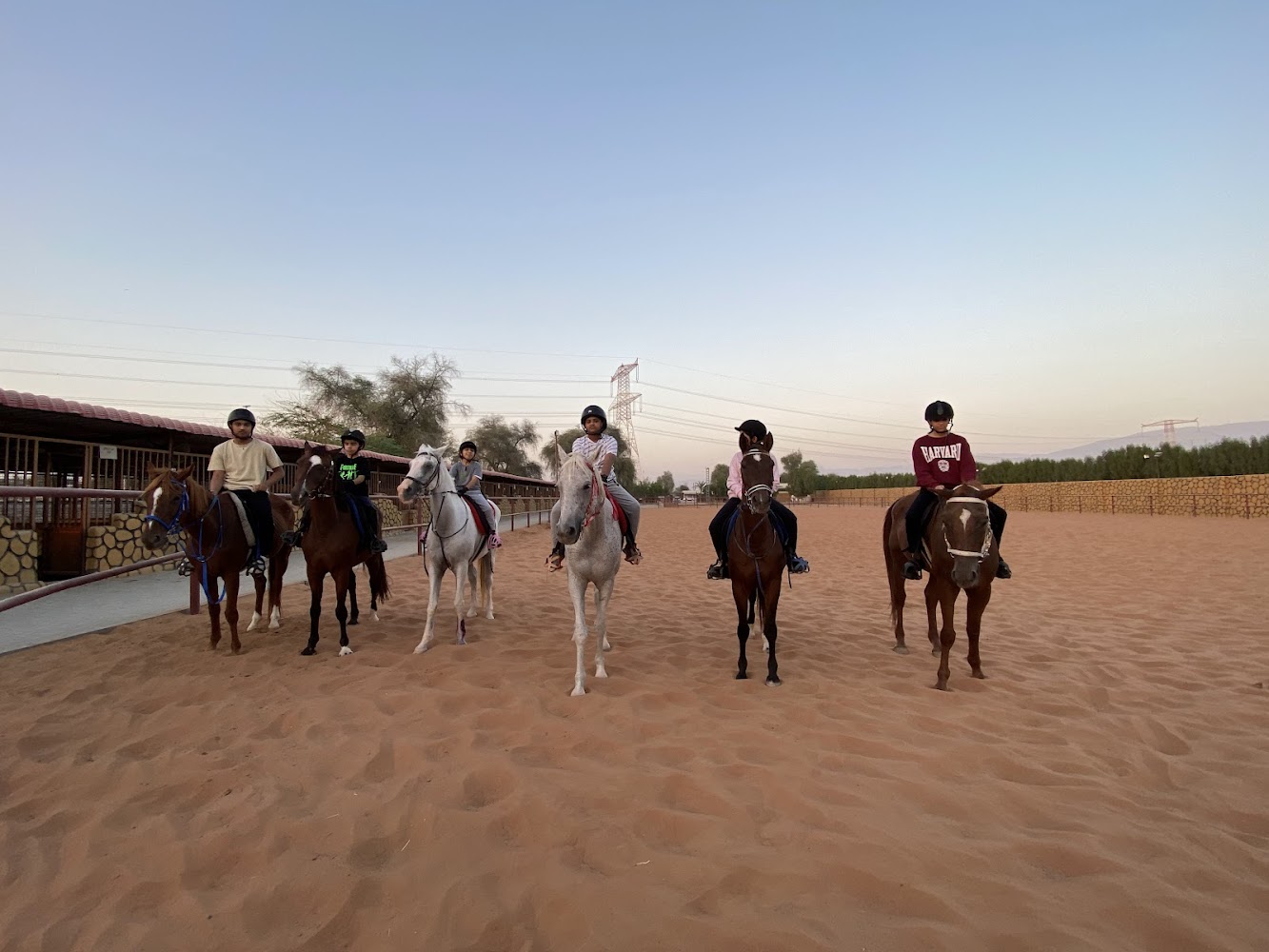 Forsan Al Emarat Stable photo 5