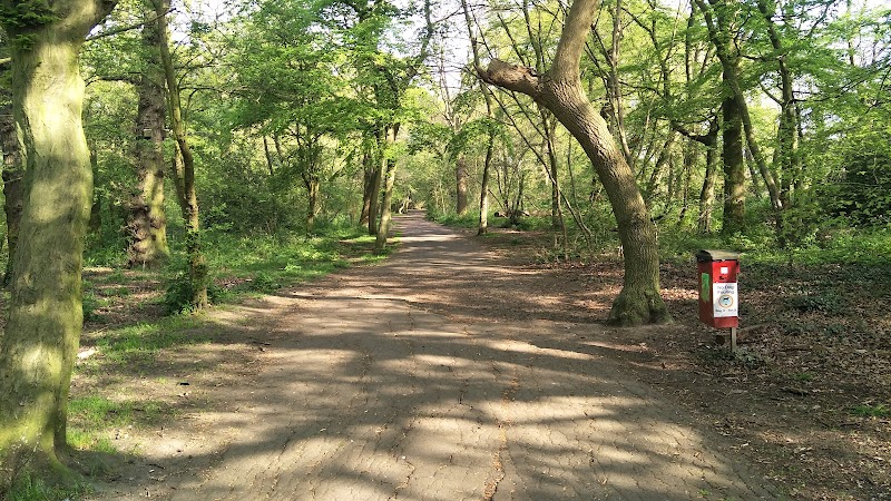 Forster Memorial Park photo 3