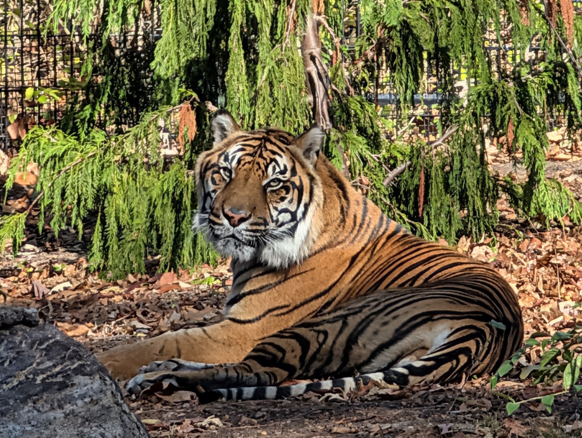 Fort Wayne Zoo photo 2