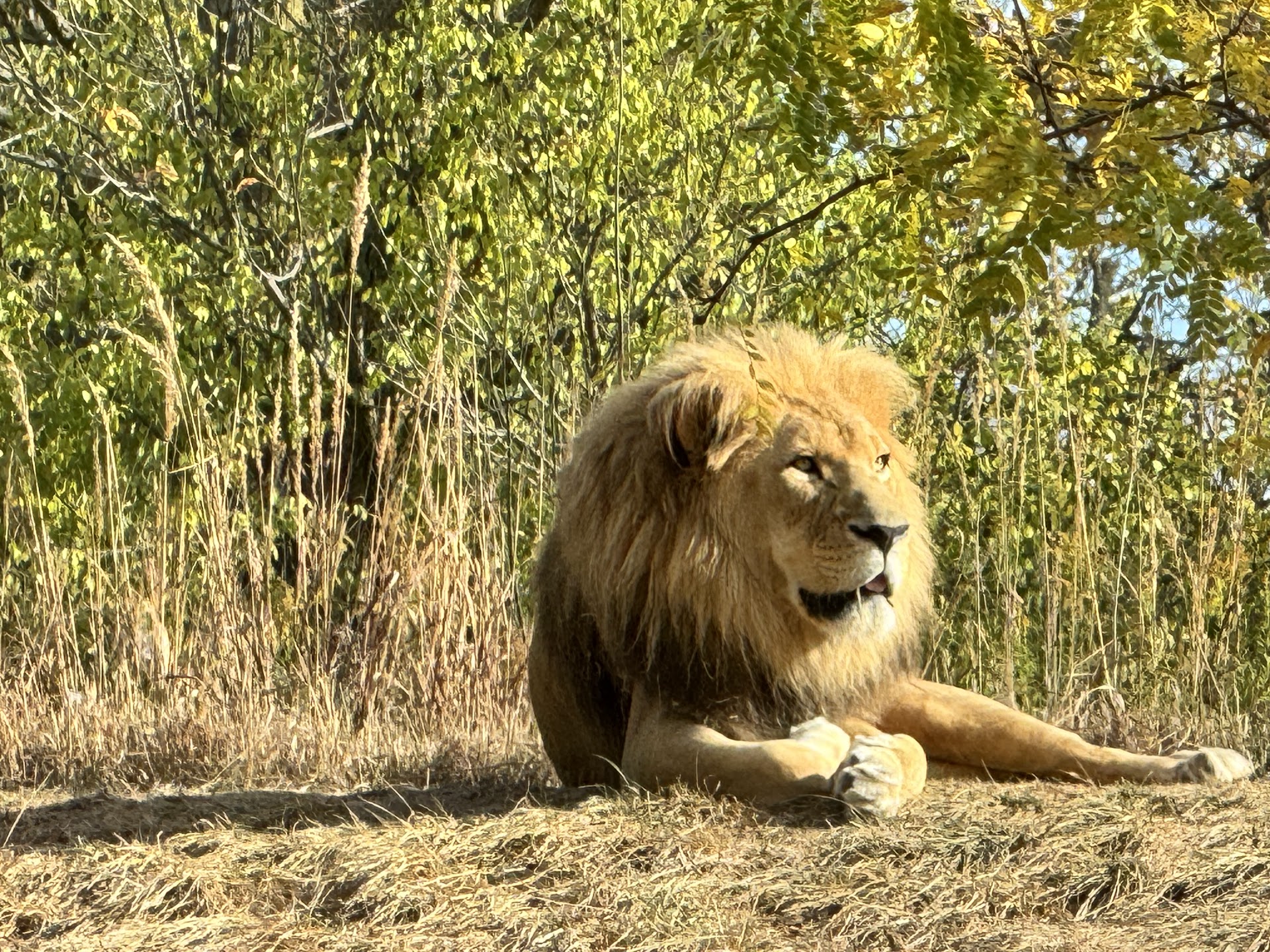 Fort Wayne Zoo photo 3