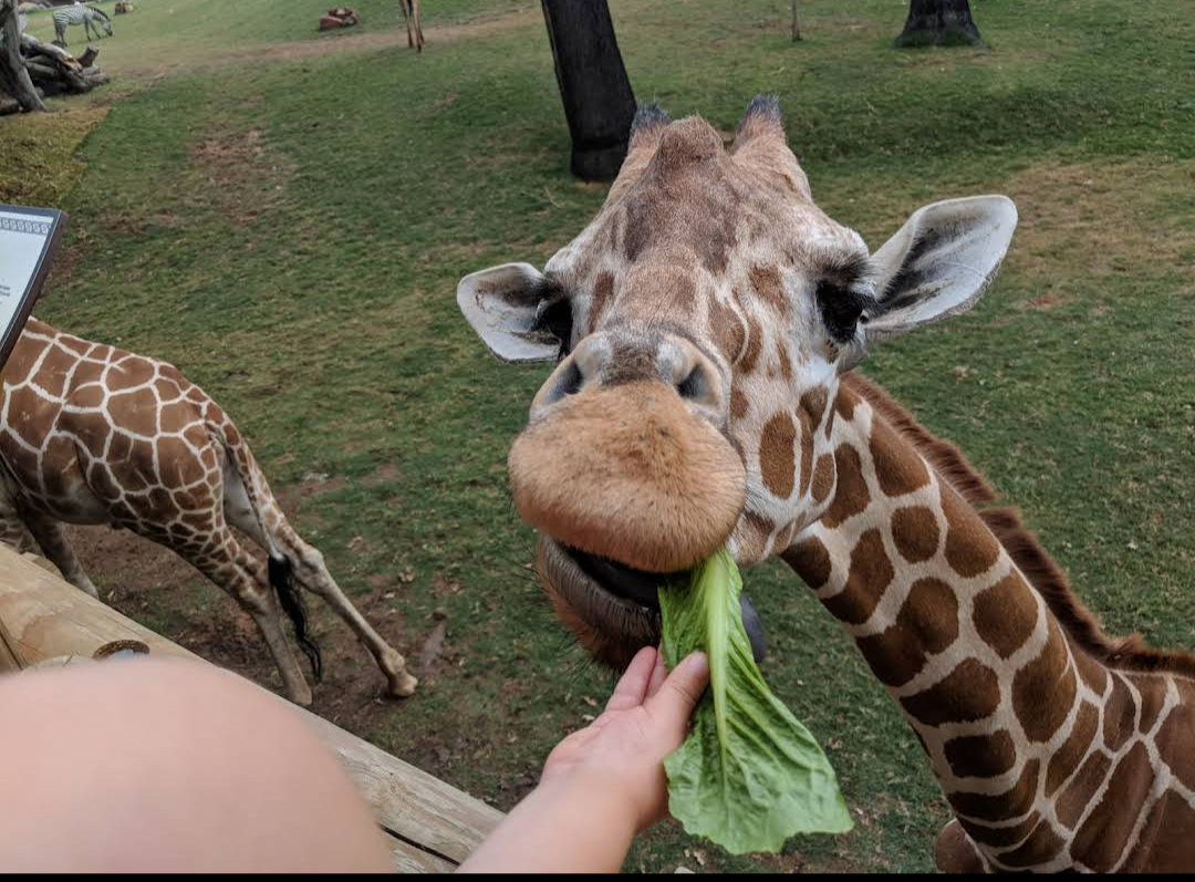 Fort Worth Zoo photo 3
