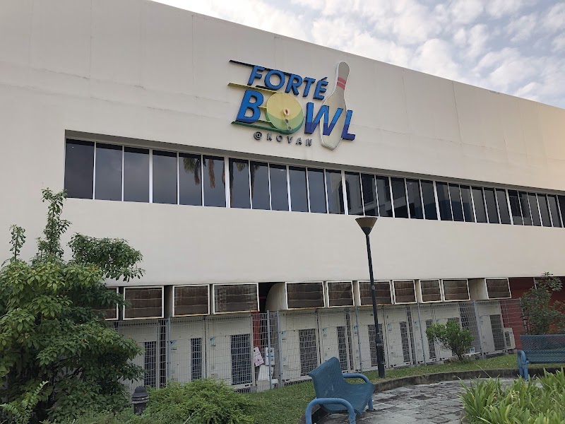 Forte Bowl photo 2