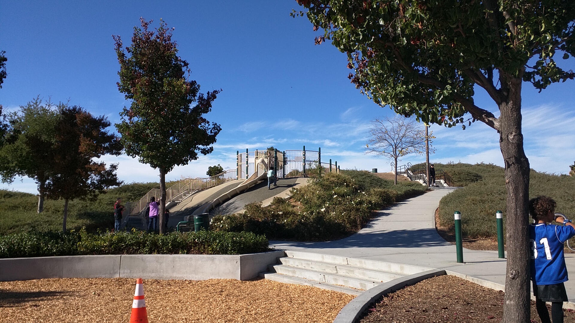 Fowler Park Play Structure photo 2