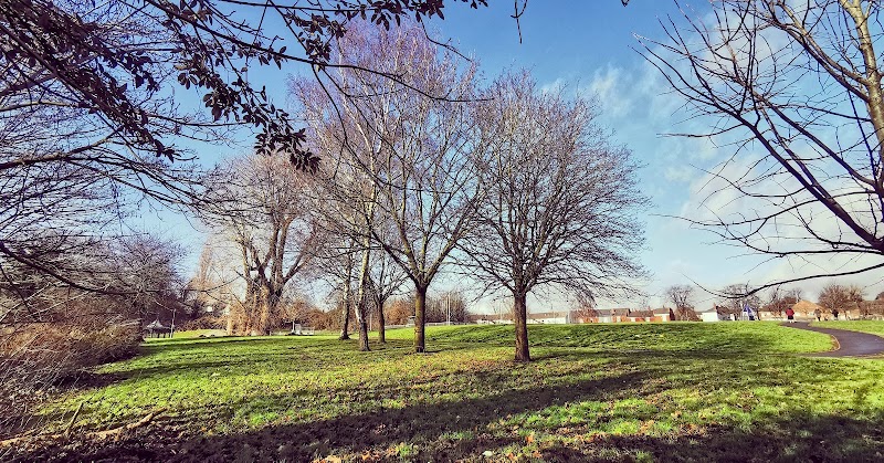 Friends of George's Park