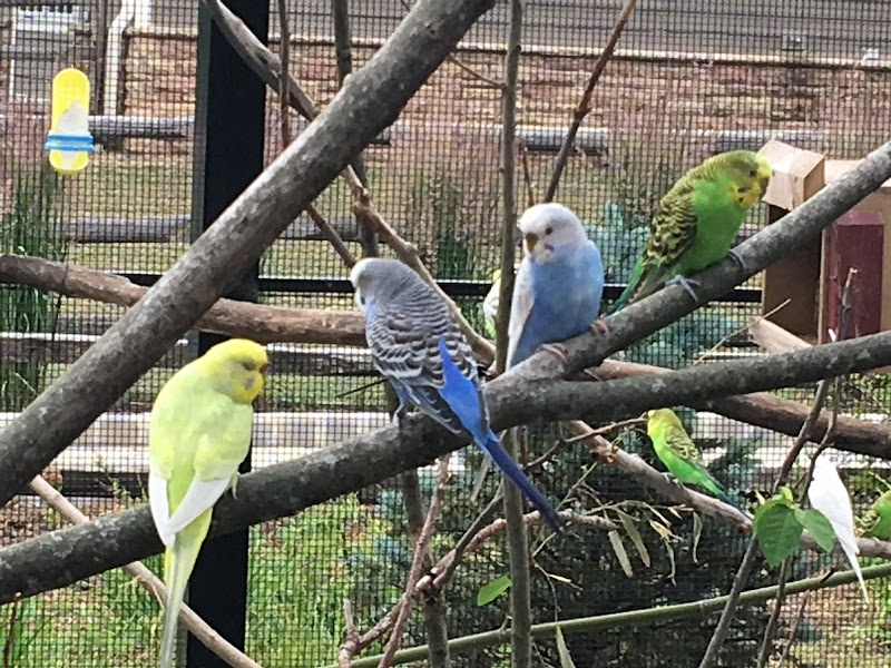 Friends of the Bergen County Zoo photo 2