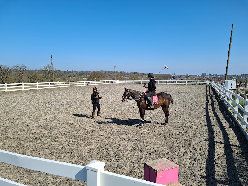 Frith Manor Equestrian Centre photo 2