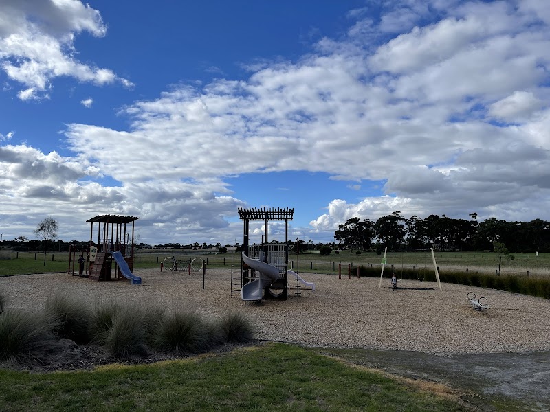 Frog Park