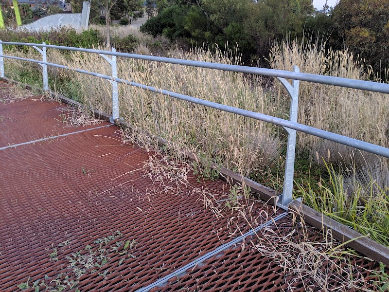 Frog Park photo 2