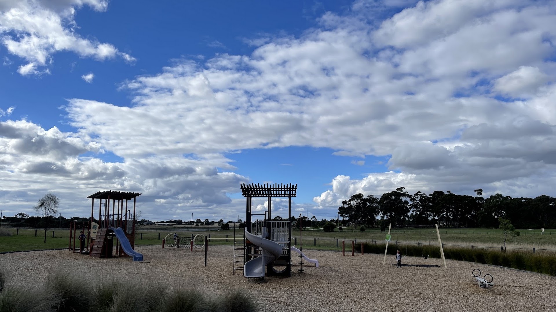 Frog Park photo 3