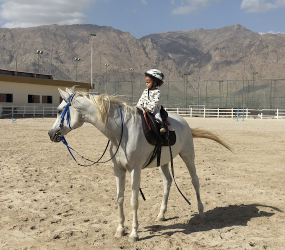 نادي ابريز للفروسية