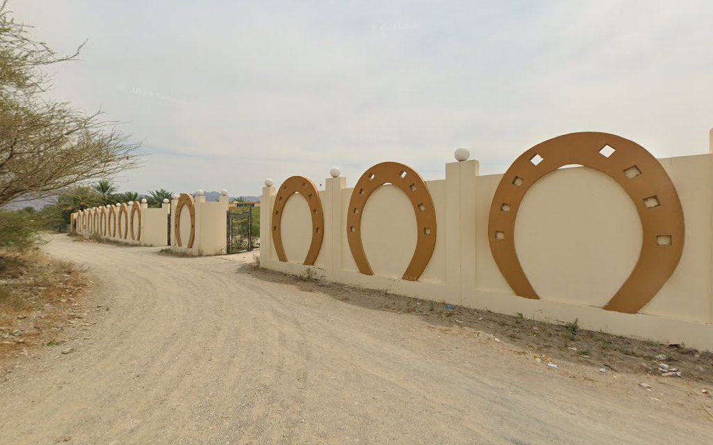 اسطبلات دبا الفجيرة photo 2