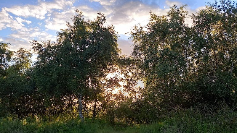 Fullwood Nature Reserve and Community Garden