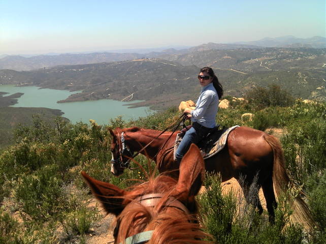 Photo of Fun With Horses in California