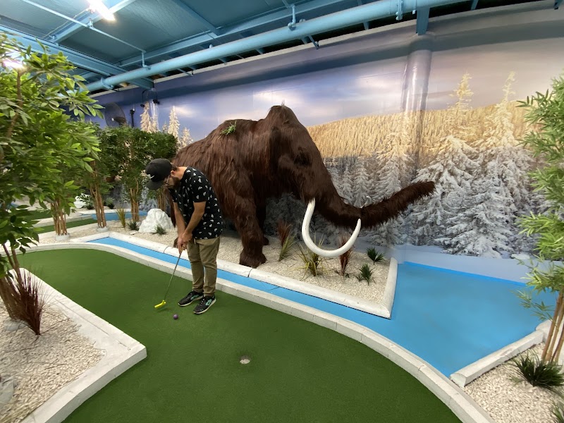 Fun Zone photo 2
