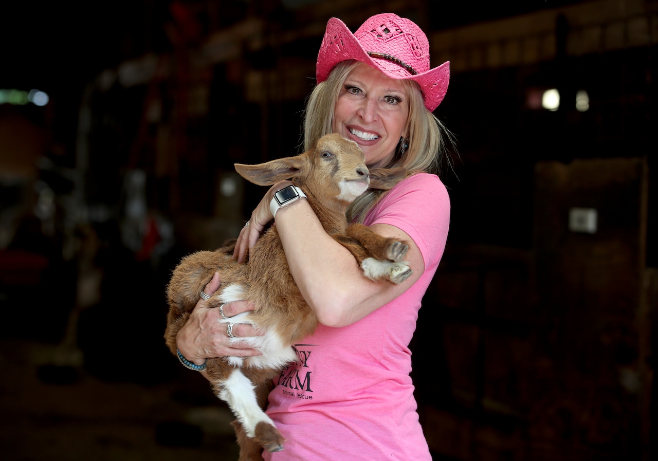 Funny Farm Rescue & Sanctuary photo 3
