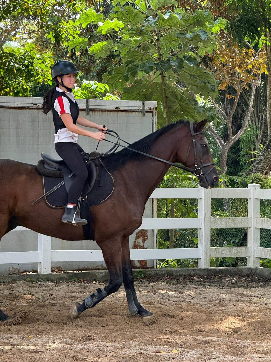 Gallop.sg