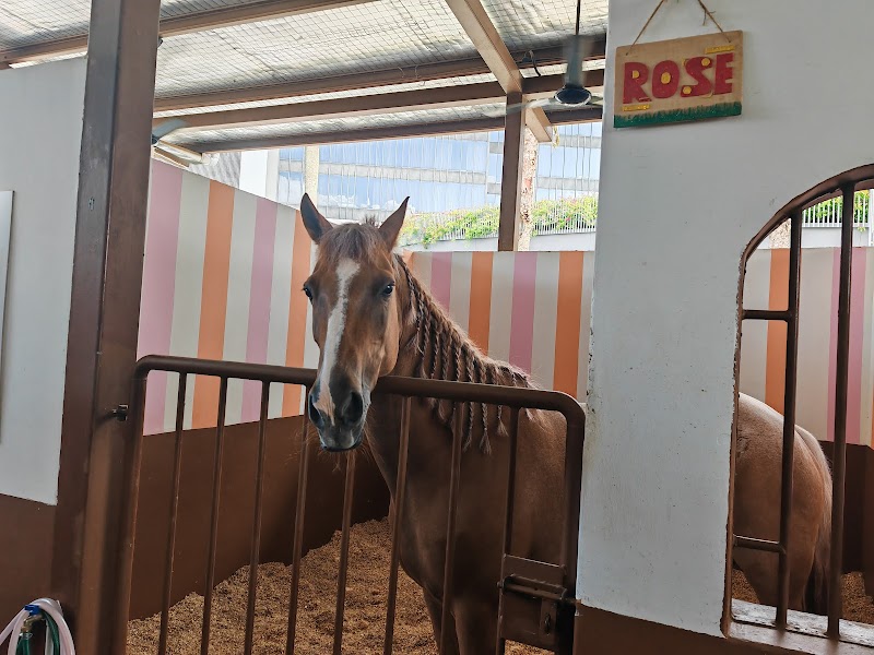 Gallop Stable @ Downtown East