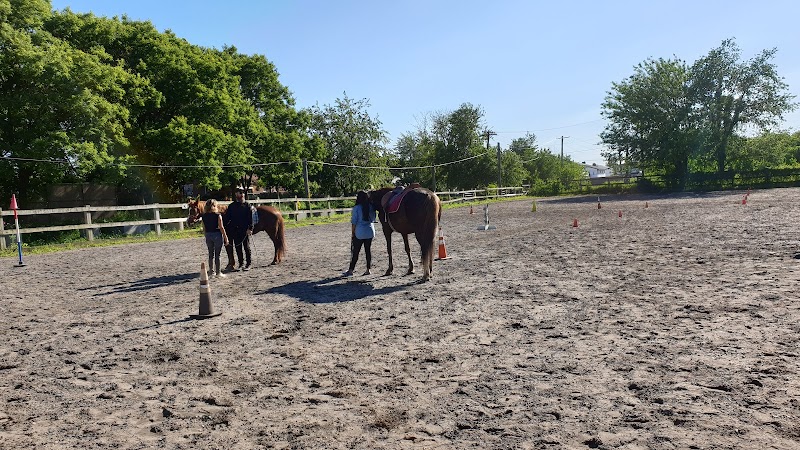 GallopNYC: Sunrise Stables
