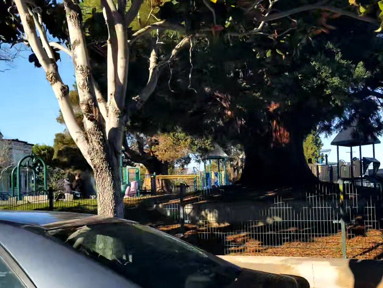 Garfield Playground photo 2
