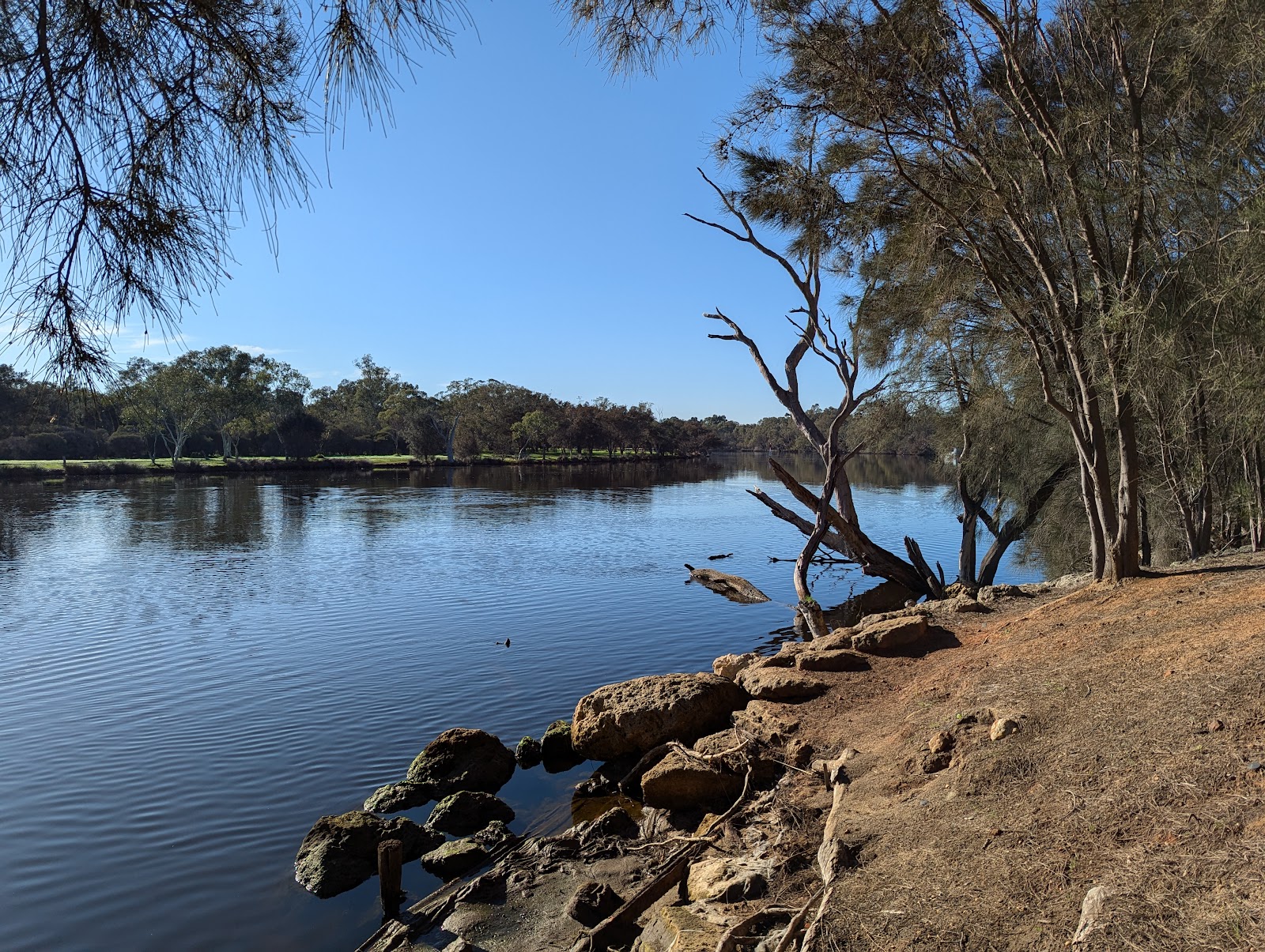 Garvey Park