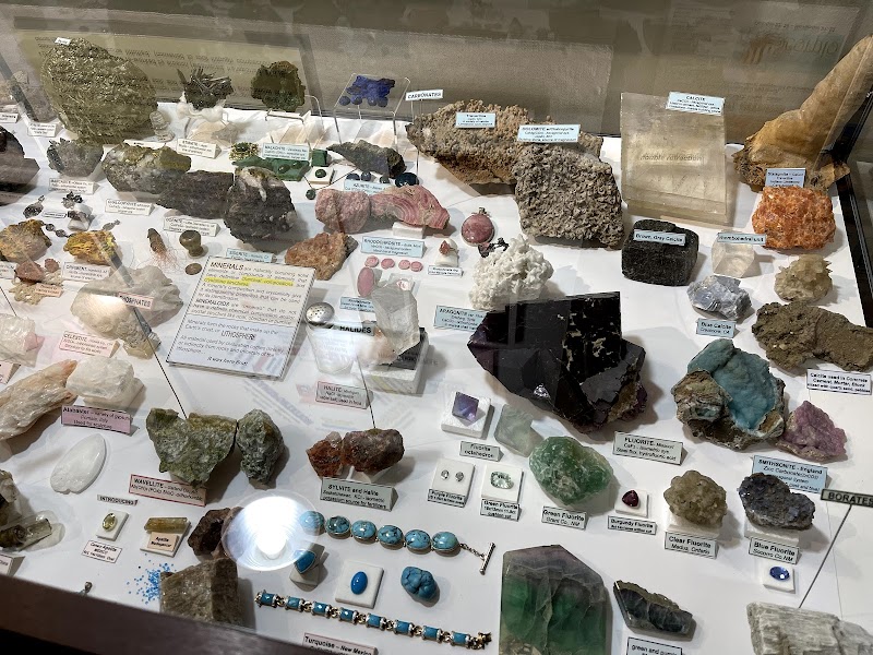 Garvies Point Museum & Preserve photo 3
