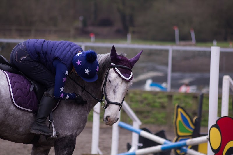 Gasston Stables photo 2