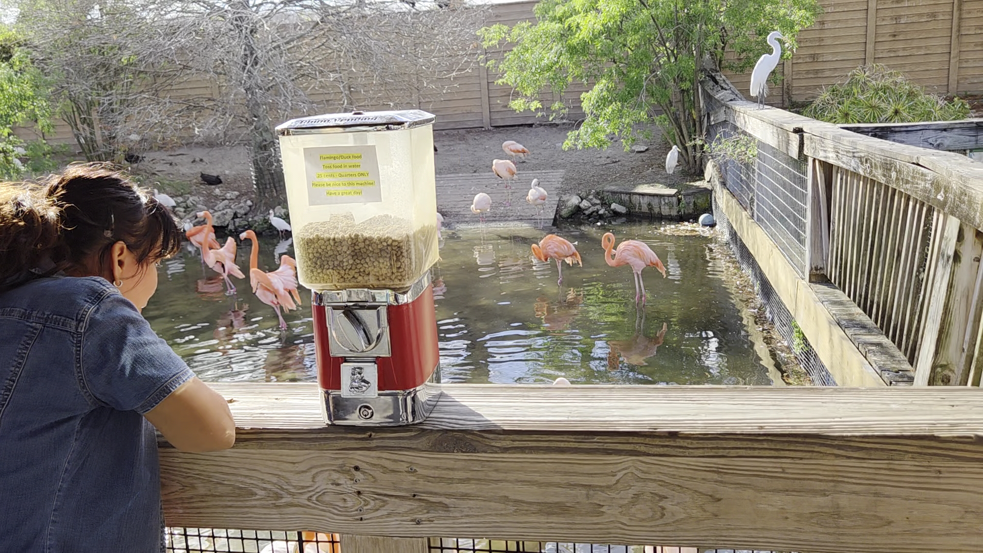 Gatorland photo 2