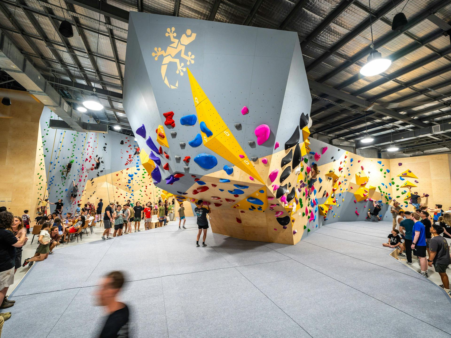 Gecko Climb Darwin