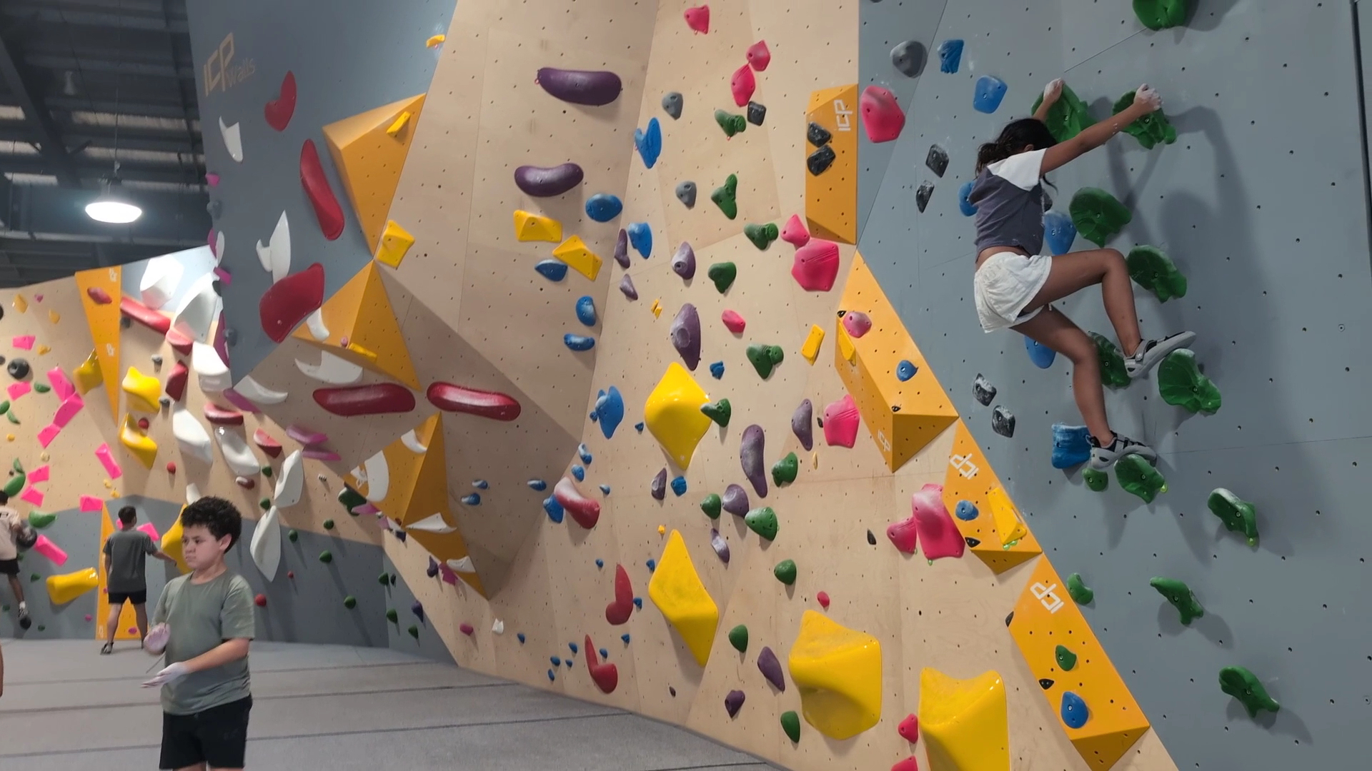 Gecko Climb Darwin photo 2