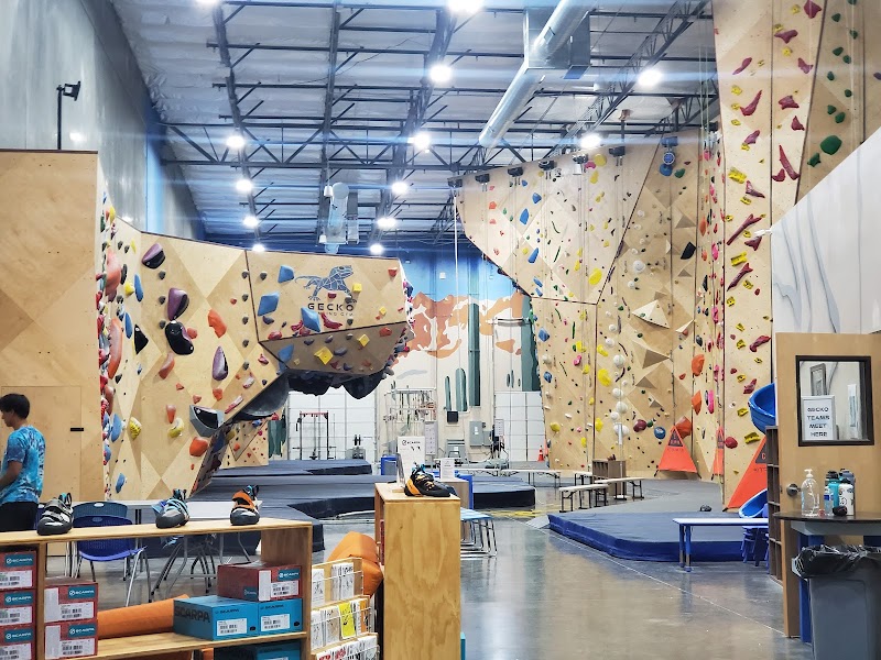 Gecko Climbing Gym photo 2