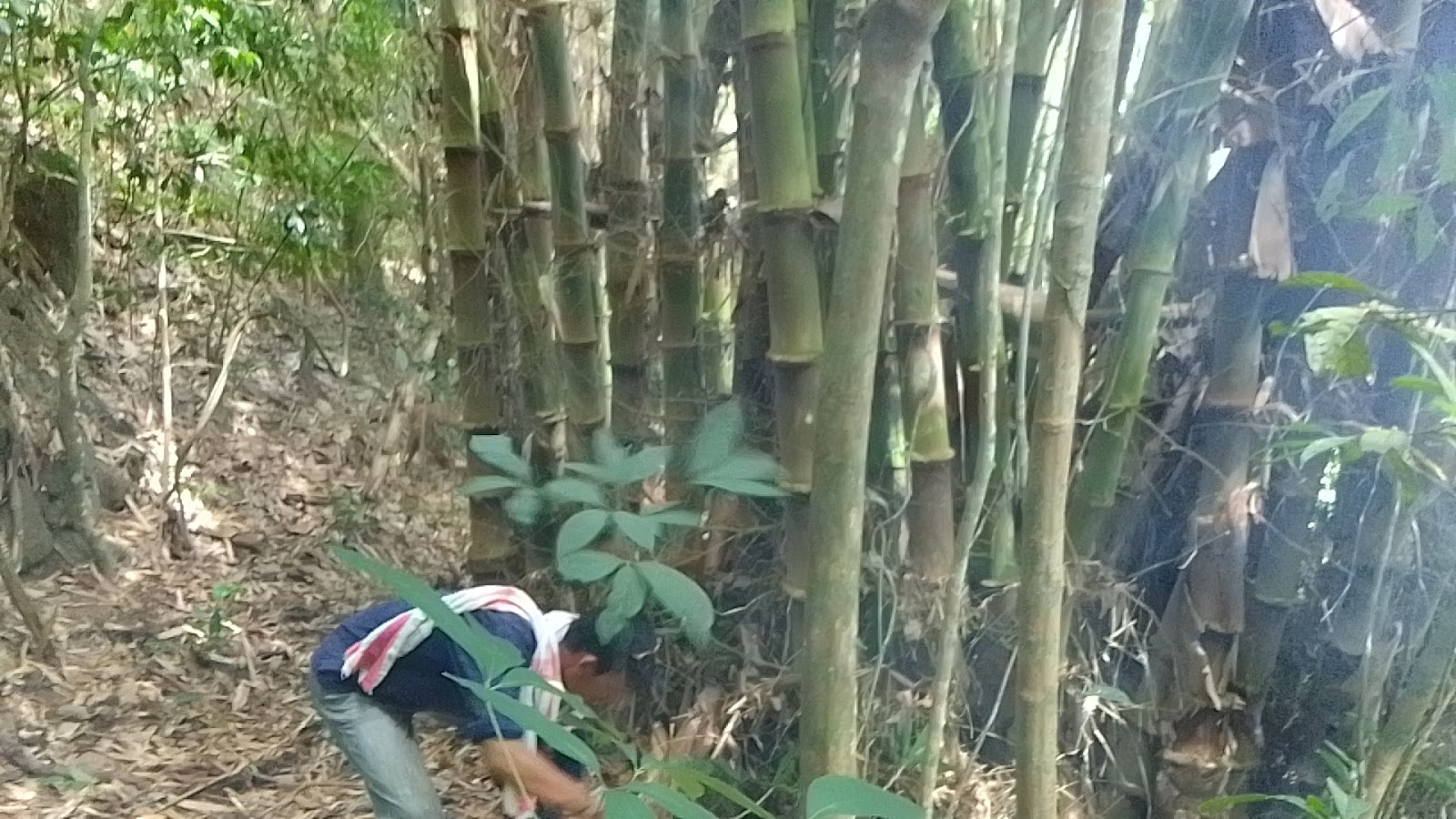 GEMILANG VALLEY OUTDOOR CENTRE photo 2
