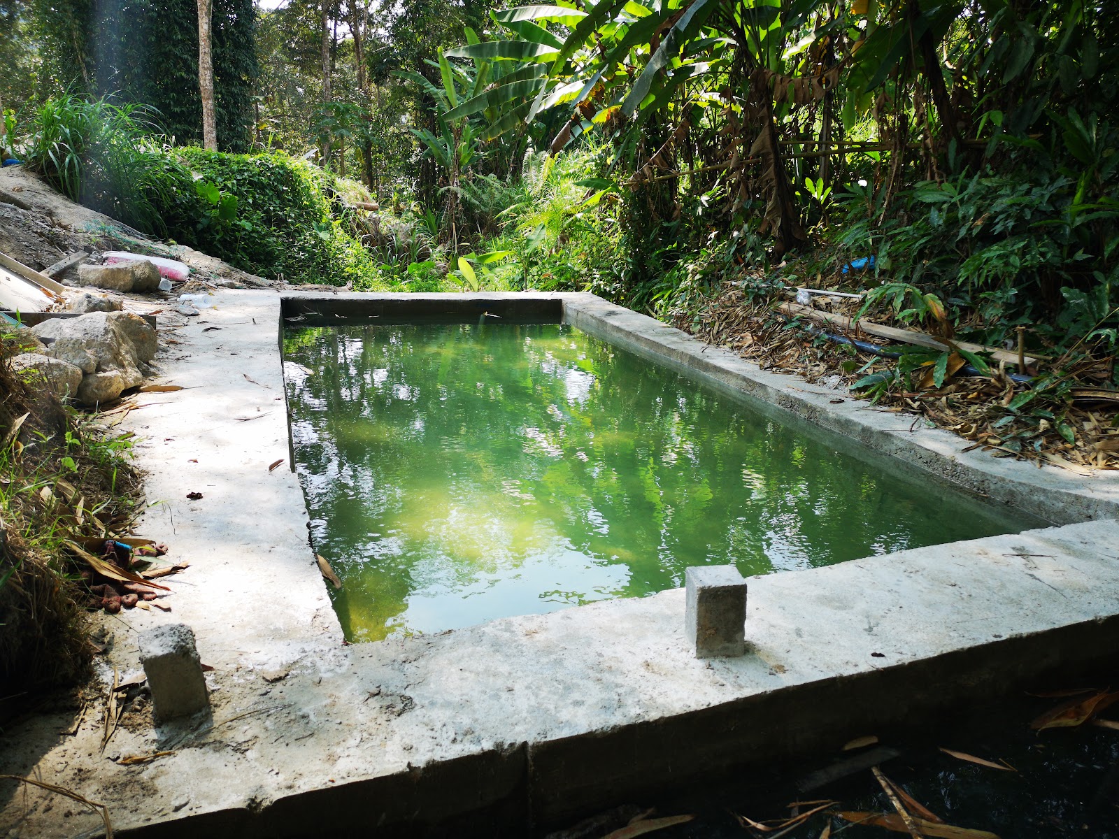 GEMILANG VALLEY OUTDOOR CENTRE photo 3