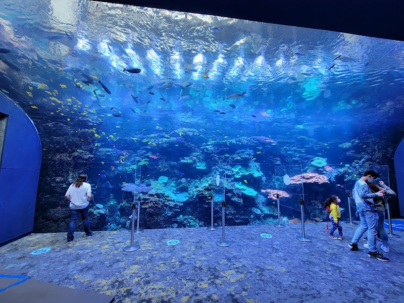 Georgia Aquarium