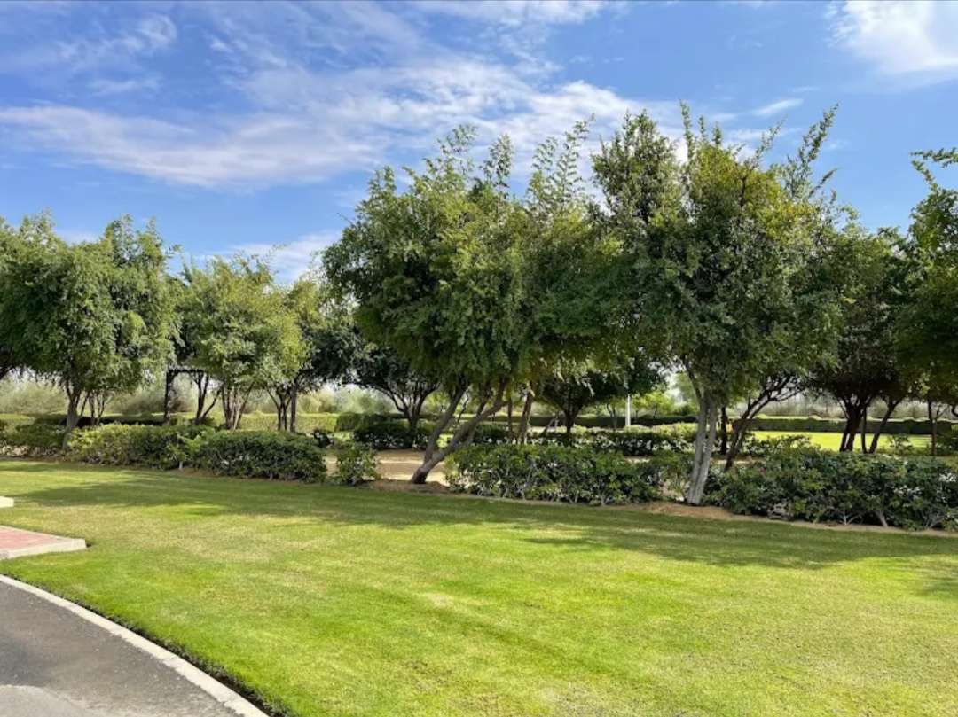 Ghabat Al Regayeb Park photo 3