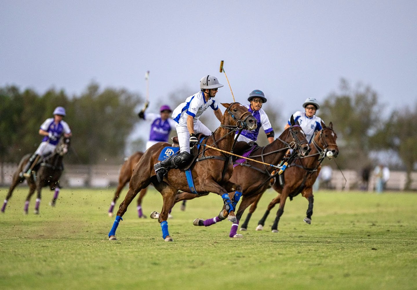 Ghantoot Racing & Polo Club photo 2