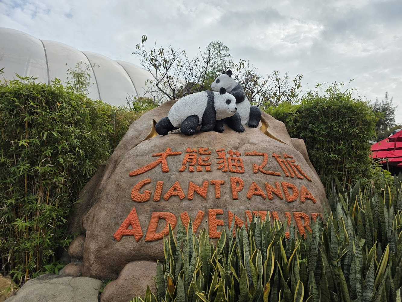 Giant Panda Adventure photo 4