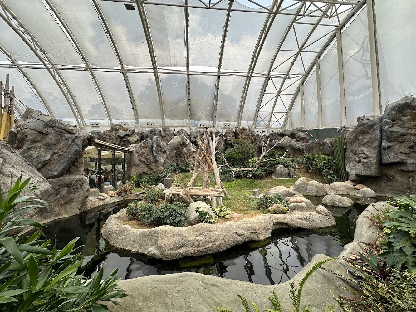 Giant Panda Adventure photo 5